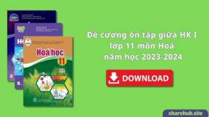 Đề cương ôn tập giữa HK I lớp 11 môn Hoá năm học 2023-2024