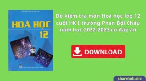 Đề kiểm tra môn Hoá học lớp 12 cuối HK I trường Phan Bội Châu năm học 2022-2023 có đáp án