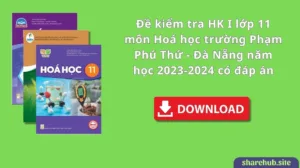 Đề kiểm tra HK I lớp 11 môn Hoá học trường Phạm Phú Thứ – Đà Nẵng năm học 2023-2024 có đáp án