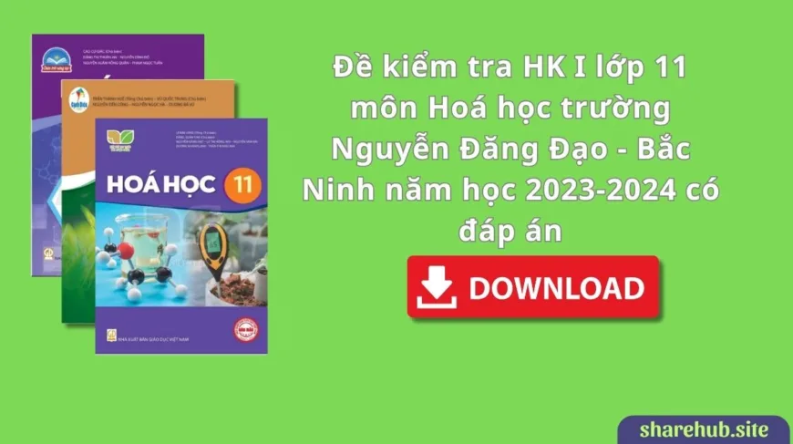 Đề kiểm tra HK I lớp 11 môn Hoá học trường Nguyễn Đăng Đạo – Bắc Ninh năm học 2023-2024 có đáp án