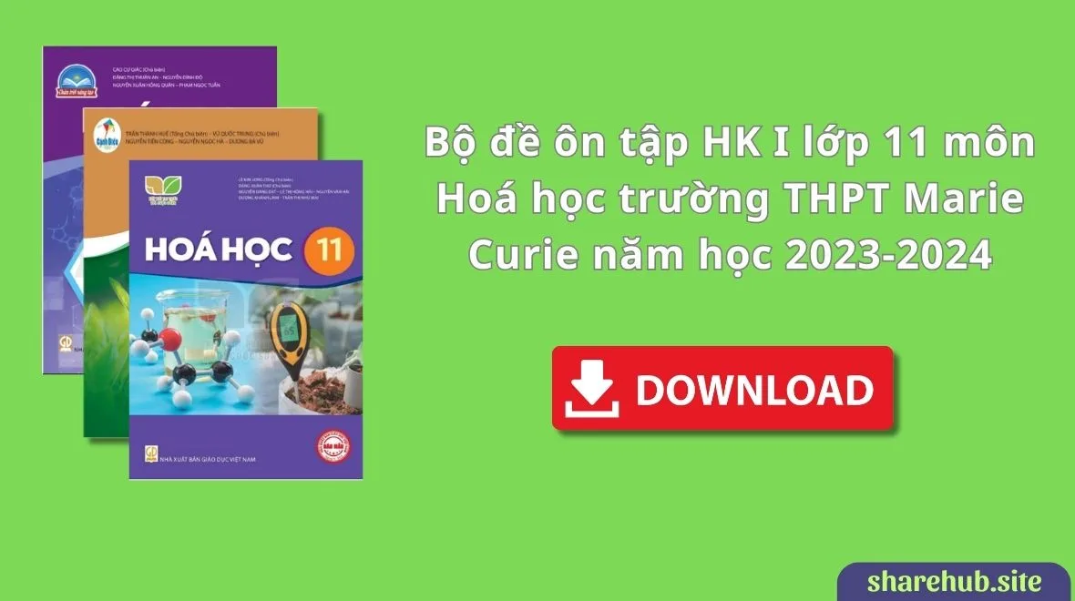 Bộ đề ôn tập HK I lớp 11 môn Hoá học trường THPT Marie Curie năm học 2023-2024