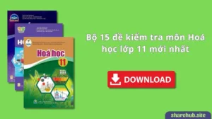 Bộ 15 đề kiểm tra môn Hoá học lớp 11 mới nhất