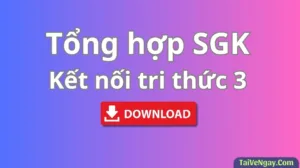 Bộ Sách Giáo Khoa Lớp 3: Kết nối tri thức (PDF)