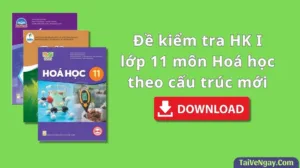 Đề kiểm tra HK I lớp 11 môn Hoá học theo cấu trúc mới