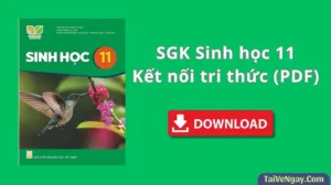 SGK Sinh học 11 – Kết nối tri thức (PDF)