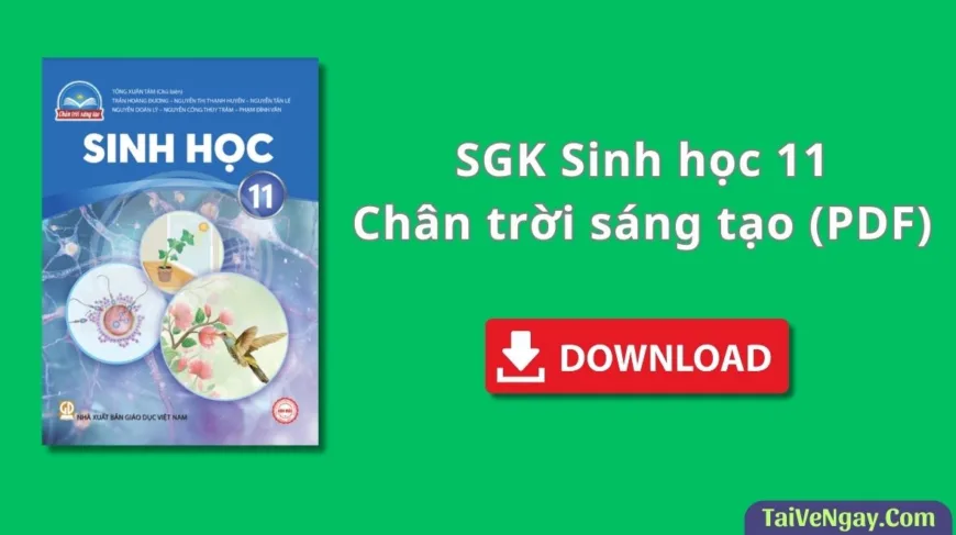 SGK Sinh học 11 – Chân trời sáng tạo (PDF)