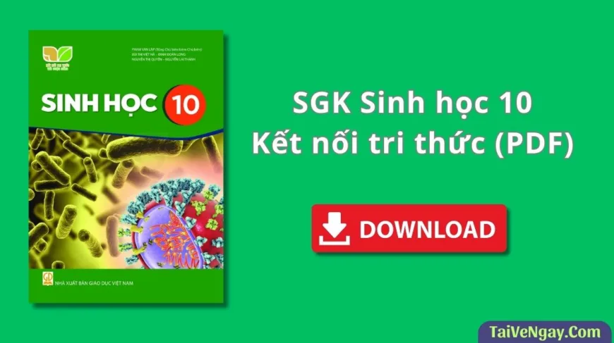 SGK Sinh học 10 – Kết nối tri thức (PDF)