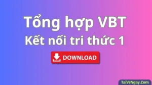 Bộ Vở Bài Tập Lớp 1: Kết Nối Tri Thức (PDF)