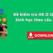 Đề Kiểm Tra HK II Môn Sinh Học Lớp 11 Của Trường THPT Kẻ Sặt – Hải Dương